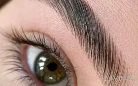 Eyebrows Lamination - 210 QAR Only